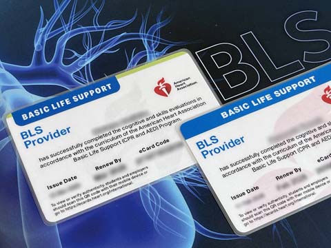 eCard�i�C�[�J�[�h�j�ɂ��BLS�v���o�C�_�[���i�؃v�����g�E���~�l�[�g���H�T�[�r�X