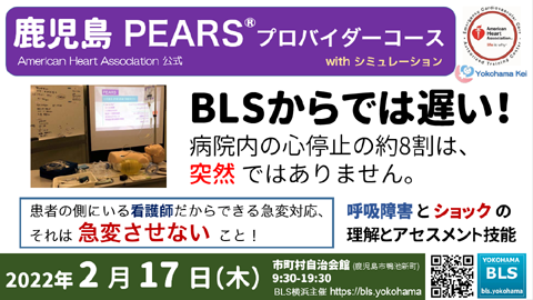 鹿児島・桜島PEARSプロバイダーコース